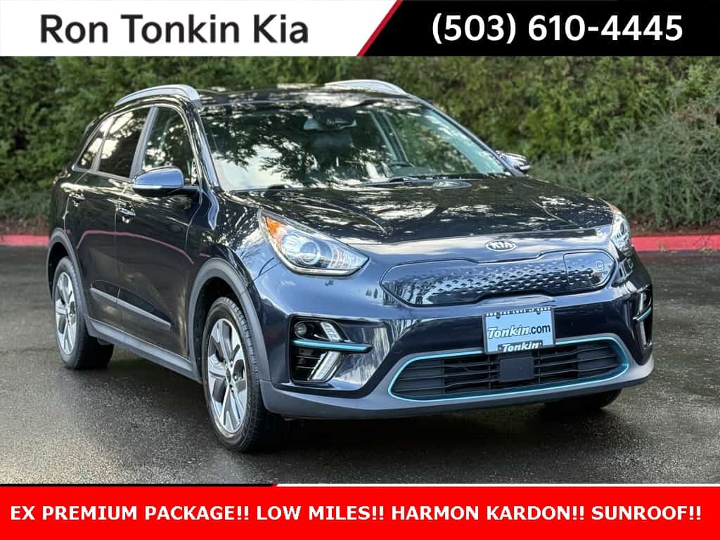 2019 Kia Niro Ev EX Premium